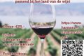 Babberich : Music & Wine - Alle evenementen in de categorie Concert - in De Liemers .nl