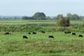 Zevenaar : Fietstocht door het Liemerse Land  - De Liemers kom DOEN en BEZOEKEN - in De Liemers .nl