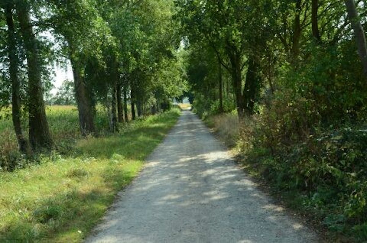 natuurexcursie in de Nevelhorst